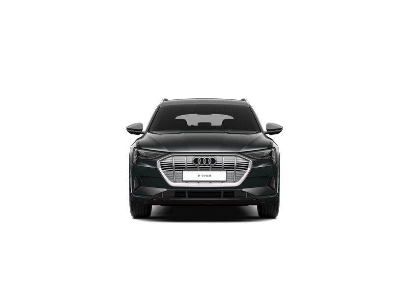 Bild eines Audi e-tron 55 quattro 300 kW Business