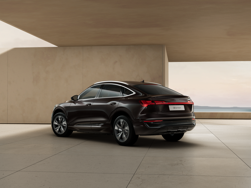 Bild eines Q8 Sportback 50 e-tron quattro business