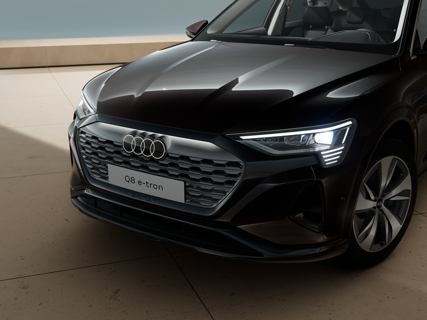 Bild eines Q8 Sportback 50 e-tron quattro business