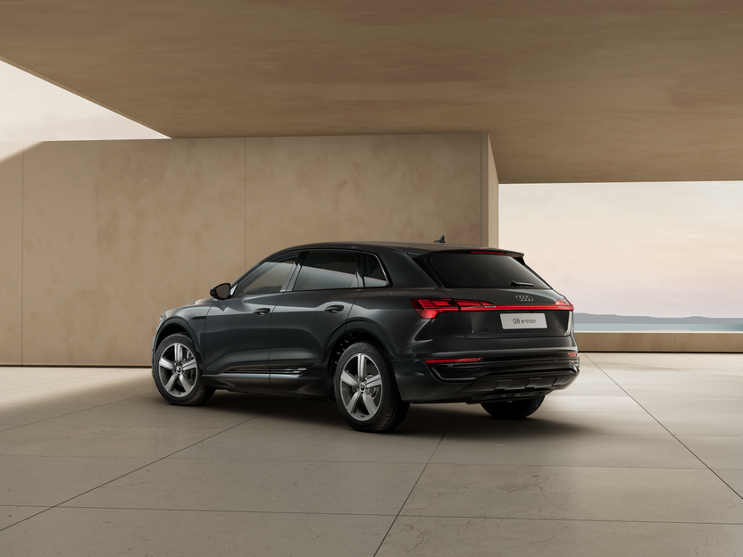 Bild eines Q8 55 e-tron quattro business