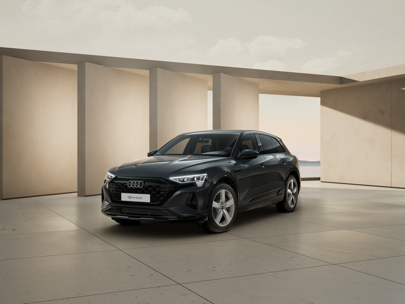 Bild eines Q8 55 e-tron quattro business