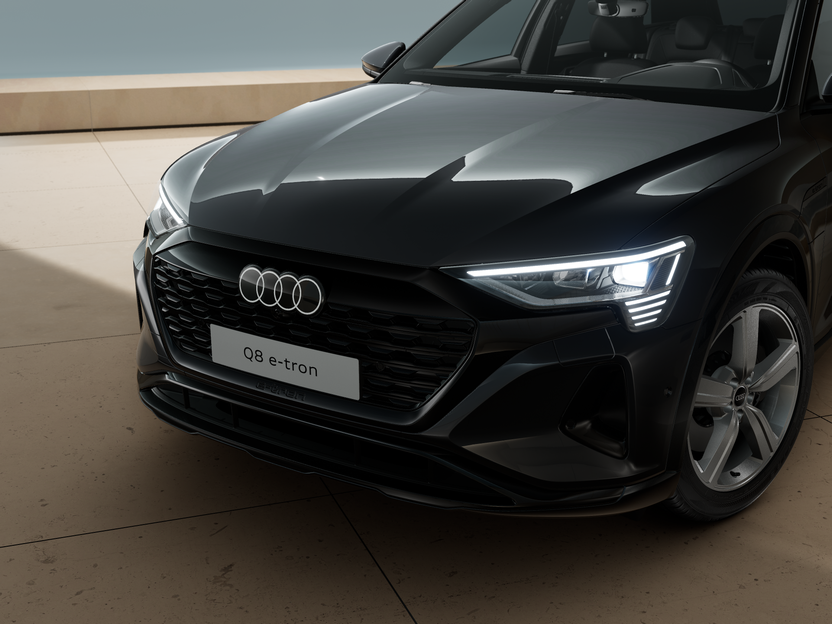 Bild eines Q8 55 e-tron quattro business