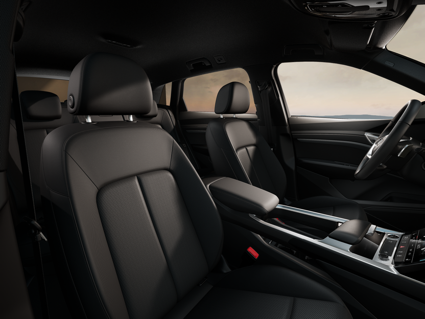 Bild eines Q8 55 e-tron quattro business