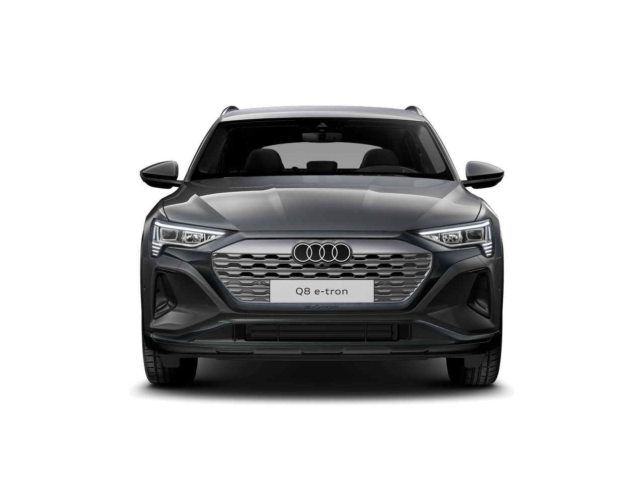 Bild eines Q8 55 e-tron quattro business