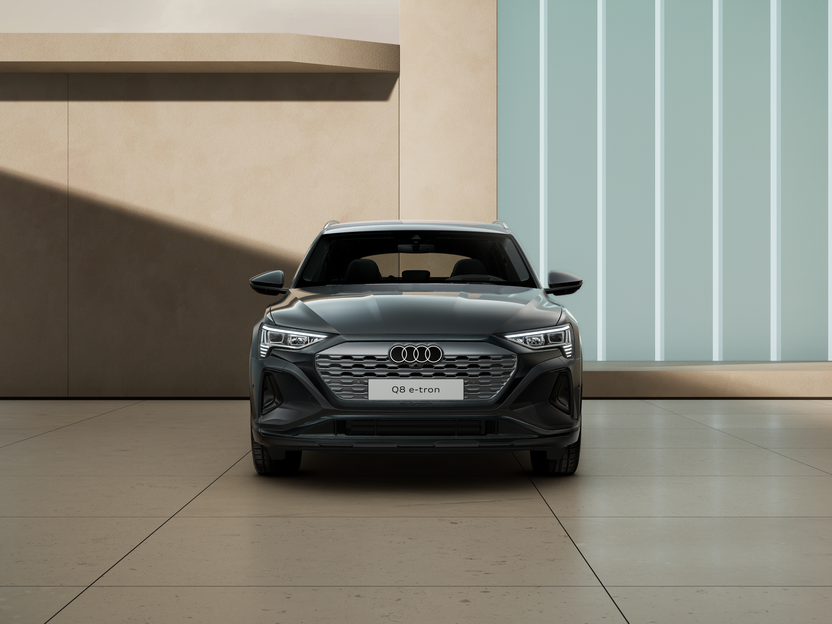 Bild eines Q8 55 e-tron quattro business