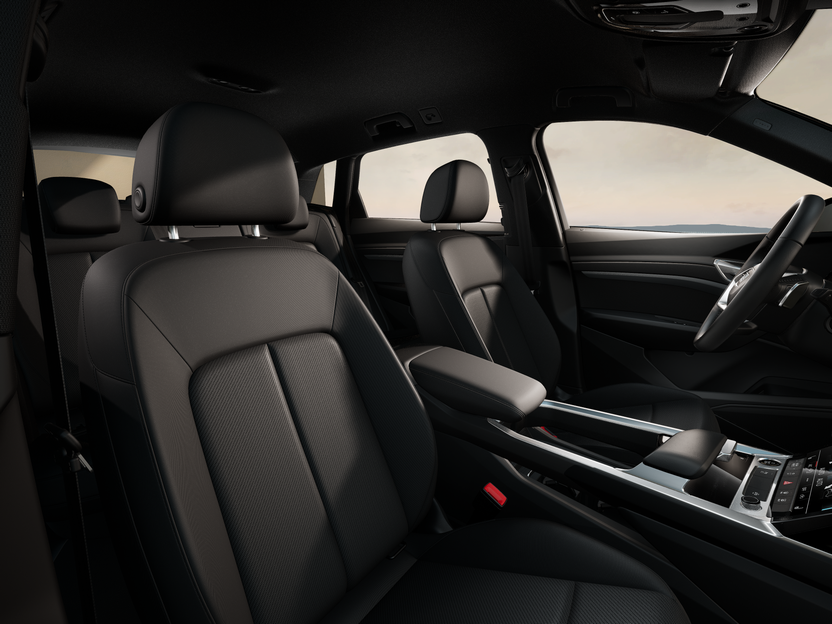 Bild eines Q8 55 e-tron quattro business