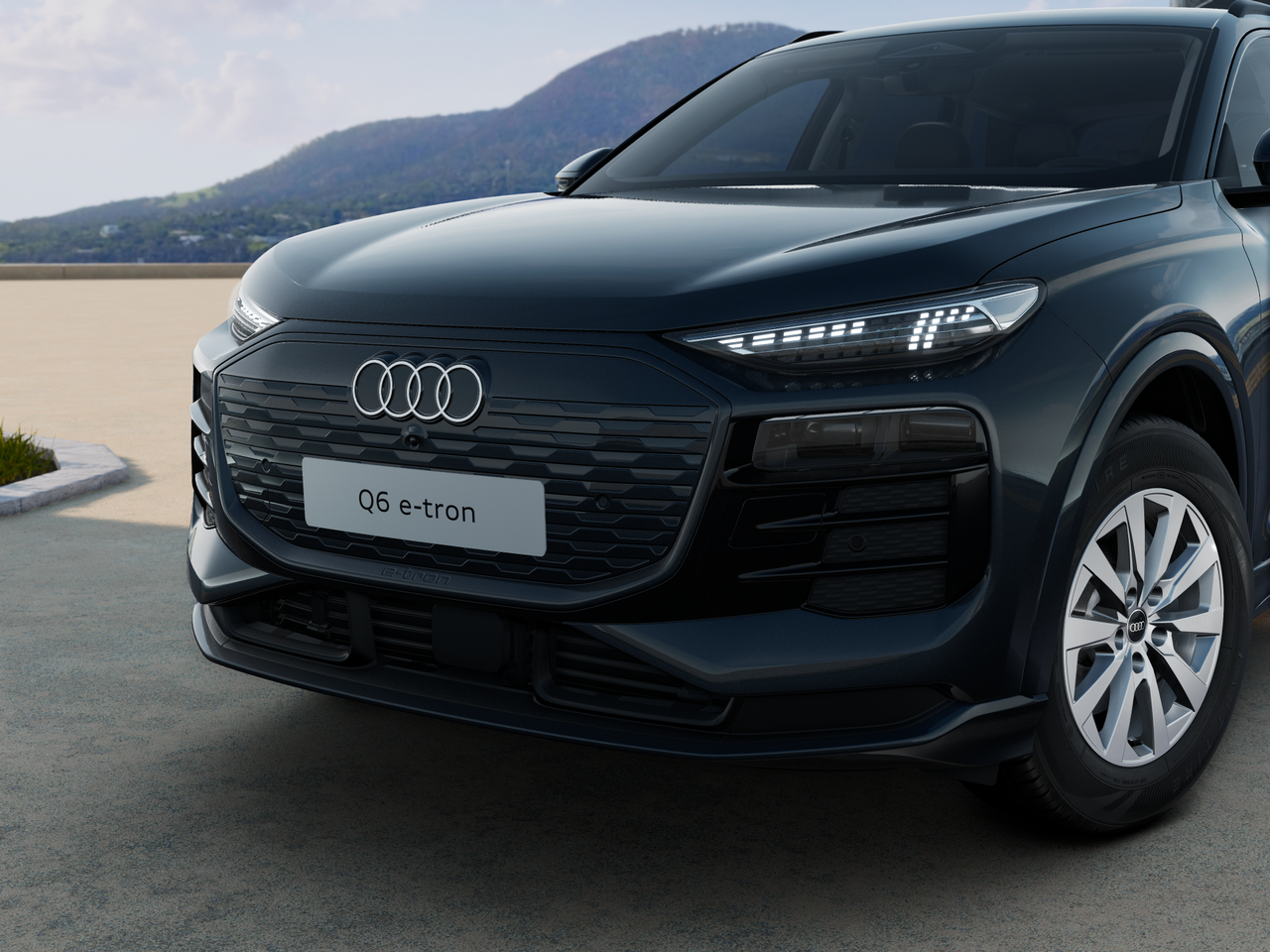 Q6 e-tron performance business