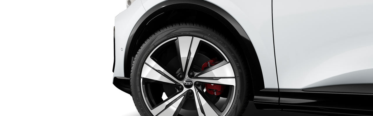 Bild eines SQ5 SUV TFSI