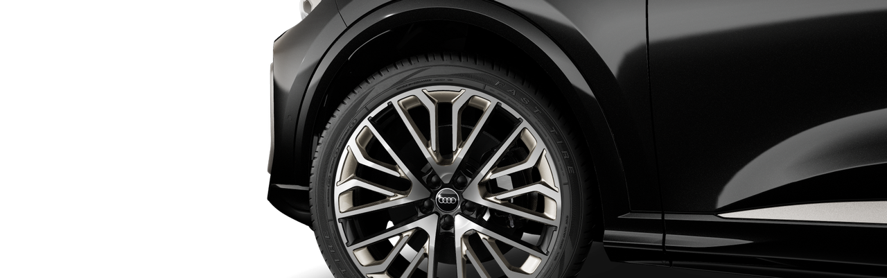 Bild eines SQ5 SUV TFSI