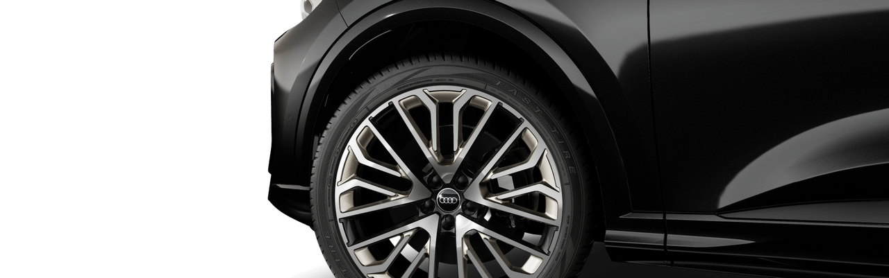Bild eines SQ5 Sportback TFSI