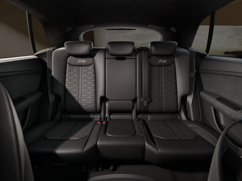 Bild eines RS Q8 performance