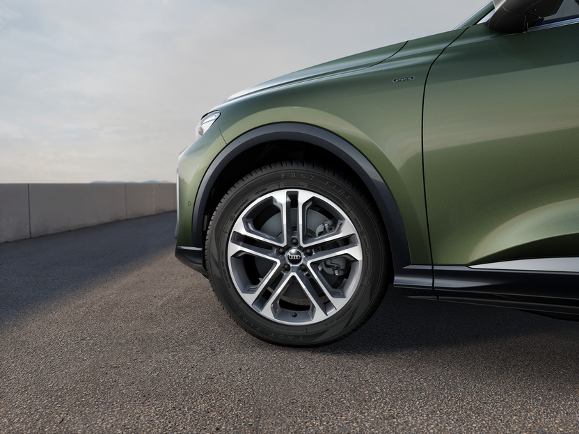 Bild eines Q5 e-hybrid quattro 220 KW