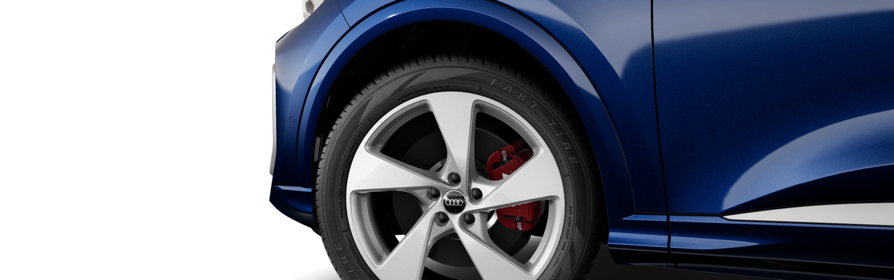 Bild eines SQ5 Sportback TFSI