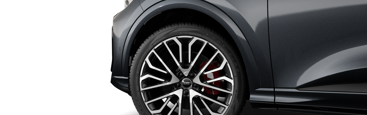 Bild eines SQ5 Sportback TFSI