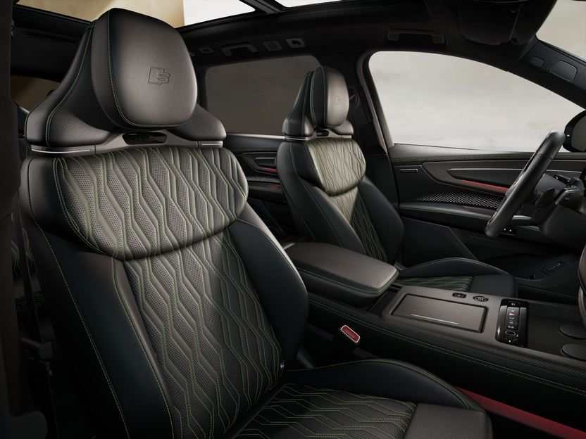 Bild eines Q9 TDI quattro 220 kW