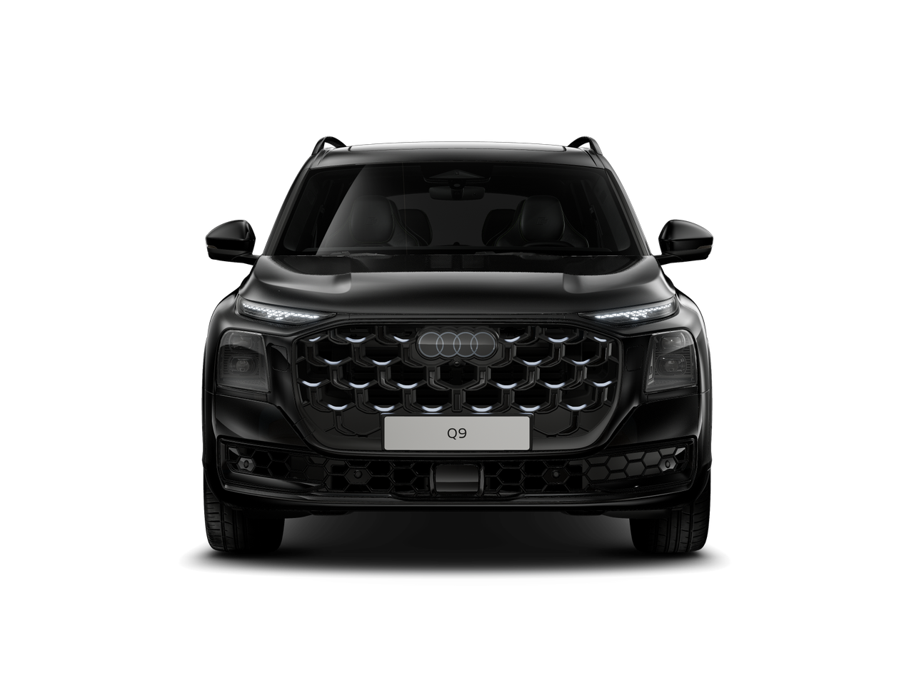 Bild eines Q9 TDI quattro 220 kW