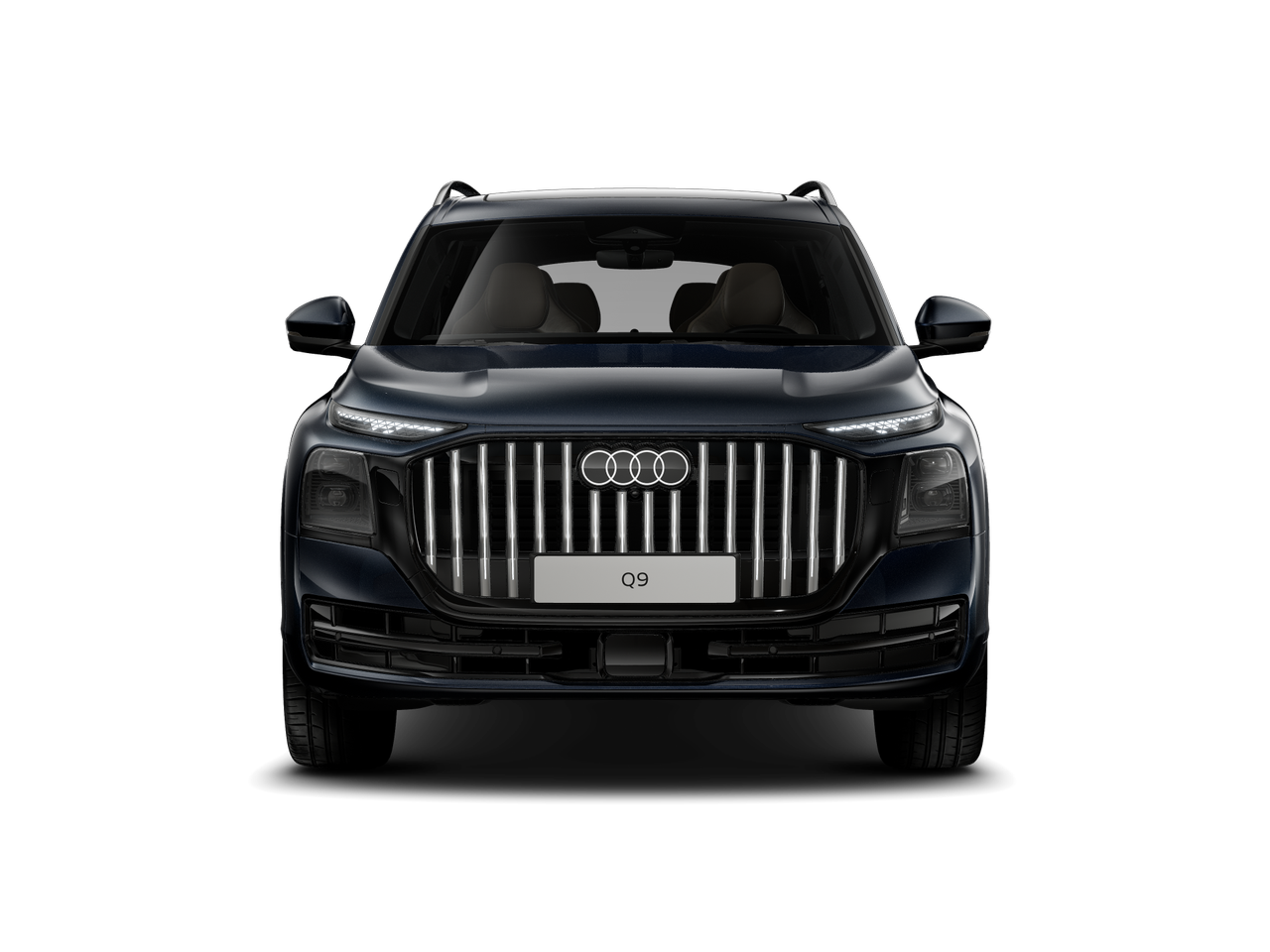 Bild eines Q9 TDI quattro 220 kW