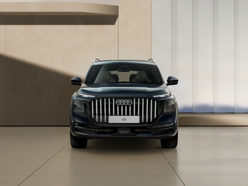 Bild eines Q9 TDI quattro 220 kW