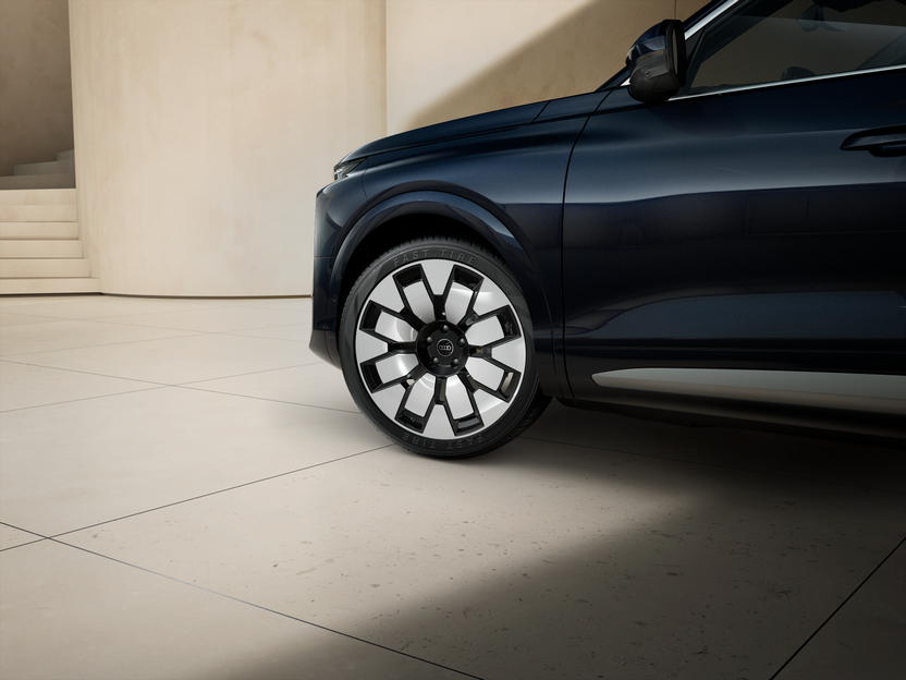 Bild eines Q9 TDI quattro 220 kW