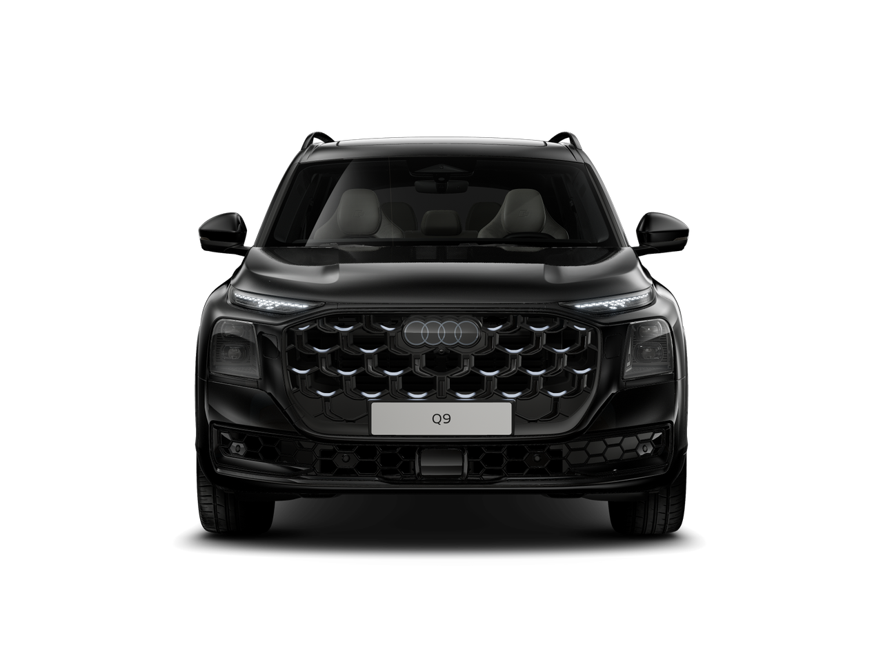 Bild eines Q9 TDI quattro 220 kW