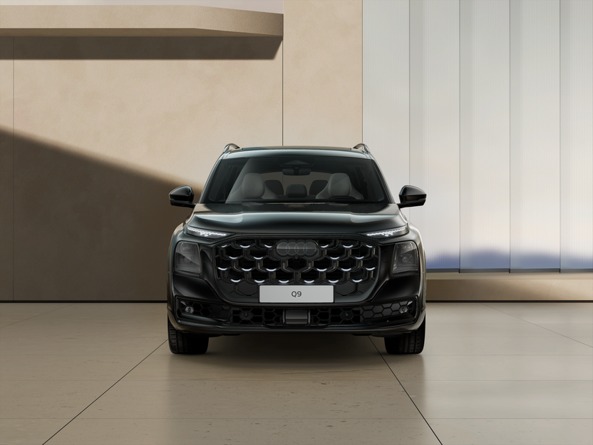Bild eines Q9 TDI quattro 220 kW