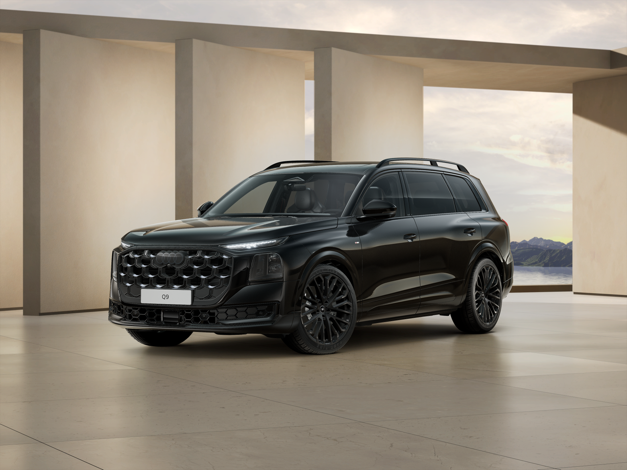 Bild eines Q9 TDI quattro 220 kW