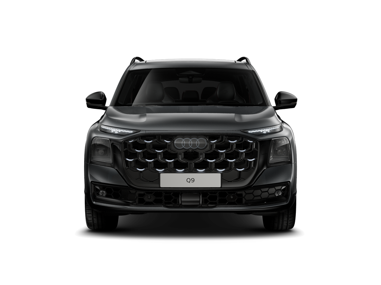Bild eines Q9 TDI quattro 220 kW