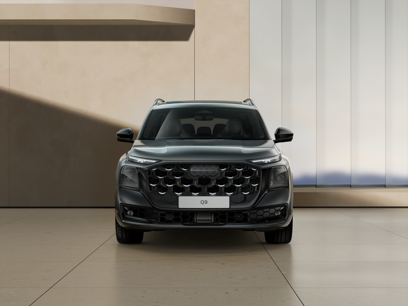 Bild eines Q9 TDI quattro 220 kW