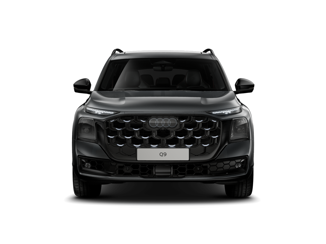 Bild eines Q9 TDI quattro 220 kW