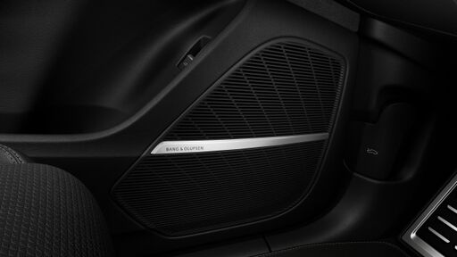 Bang & Olufsen Premium Sound System