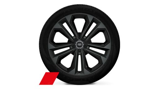 Räder 21" "5-Doppelspeichen,9,5J x 21"