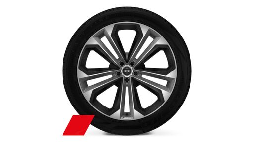 Räder 22" 5-Doppelspeichen Modul 10Jx22