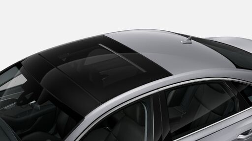 Panorama-Glasdach A8