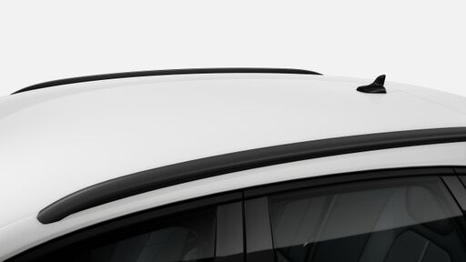 Dachreling in Schwarz