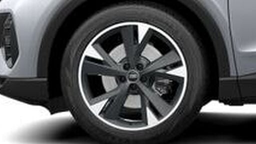 Räder "5-Y-Speichen-Design" 8/9Jx20