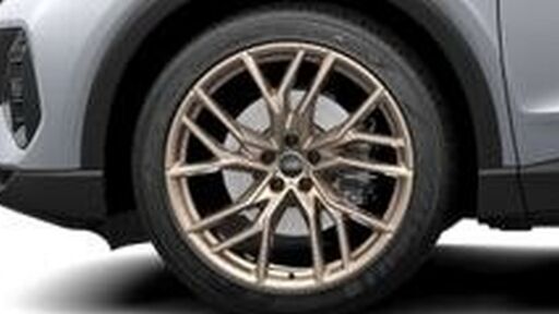 Räder "5-W-Speichen-Stern" 8,5/9Jx21