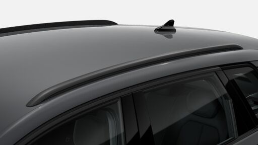 Dachreling in Schwarz