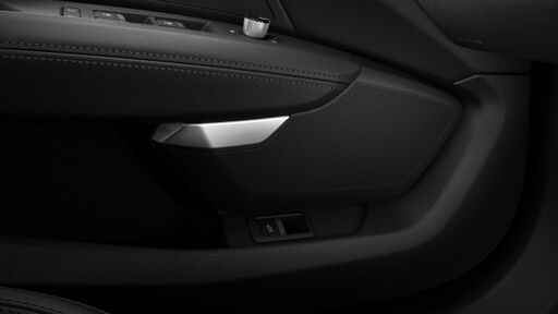 Bang & Olufsen Premium Sound System