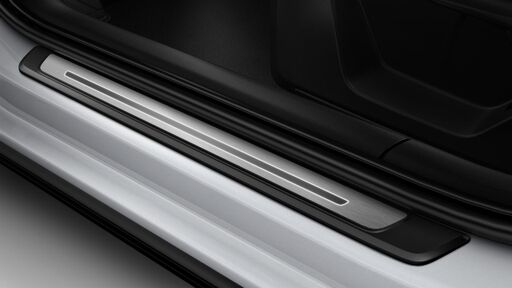 Einstiegsleisten mit Aluminiumeinlagen