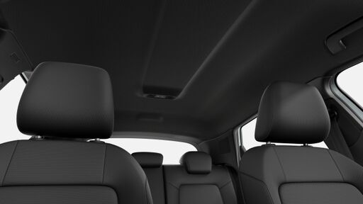 Dachhimmel in Stoff schwarz