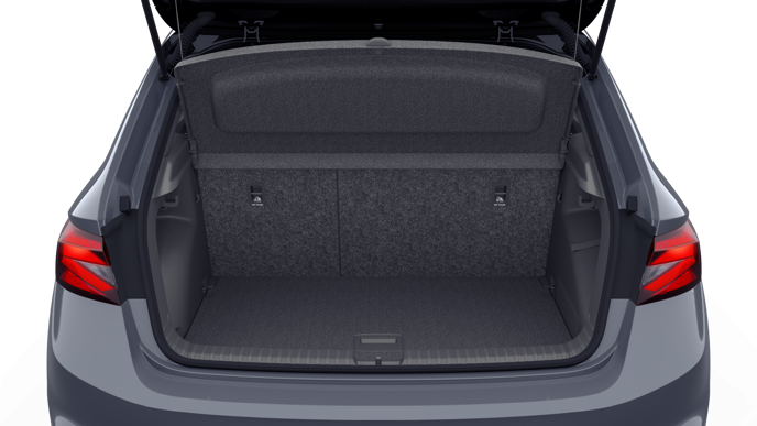 Bild eines Fabia Monte Carlo TSI DSG