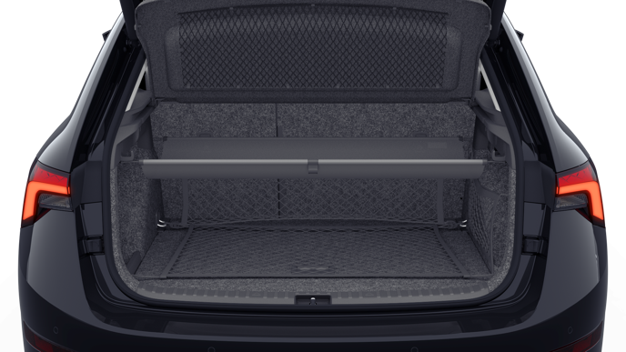Bild eines Scala Style TSI DSG