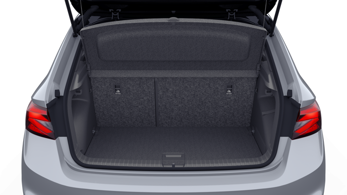 Bild eines Fabia Monte Carlo TSI