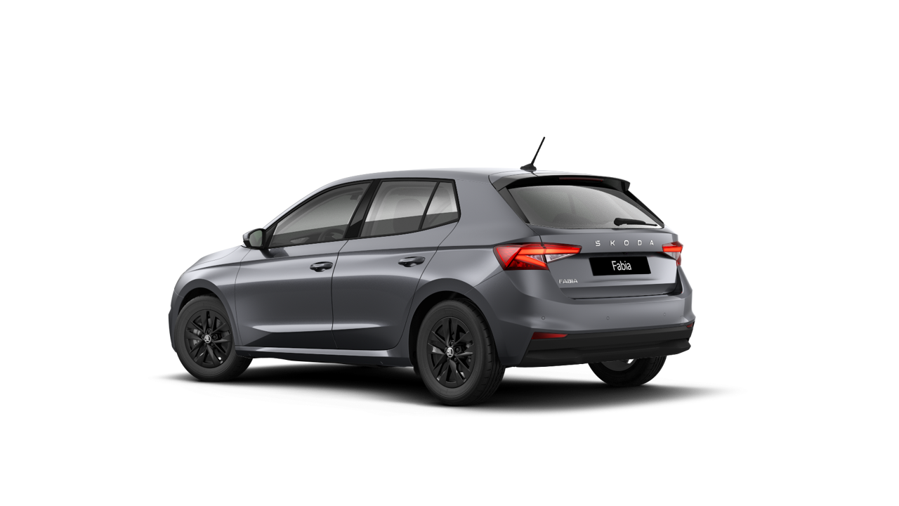 Bild eines Fabia Selection TSI DSG