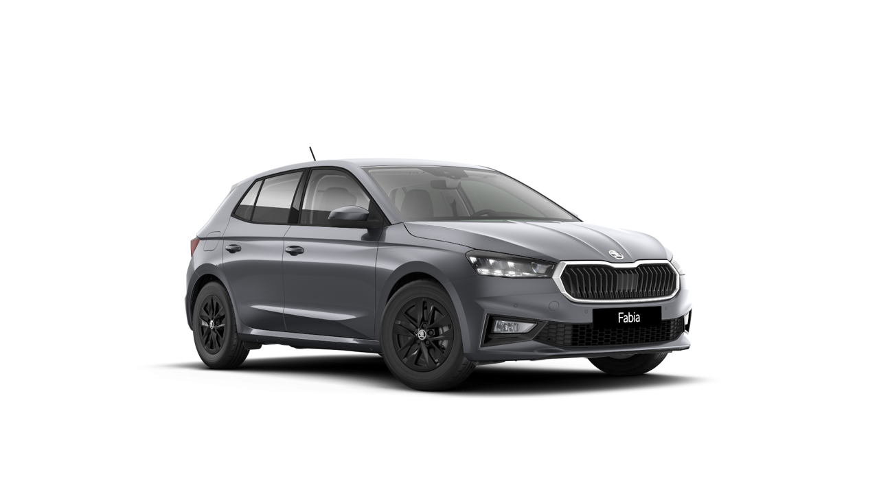 Bild eines Fabia Selection TSI DSG