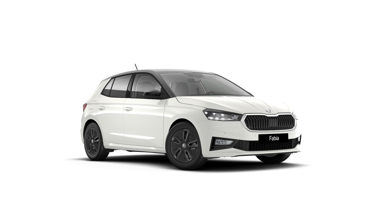 Bild eines Fabia Selection TSI DSG