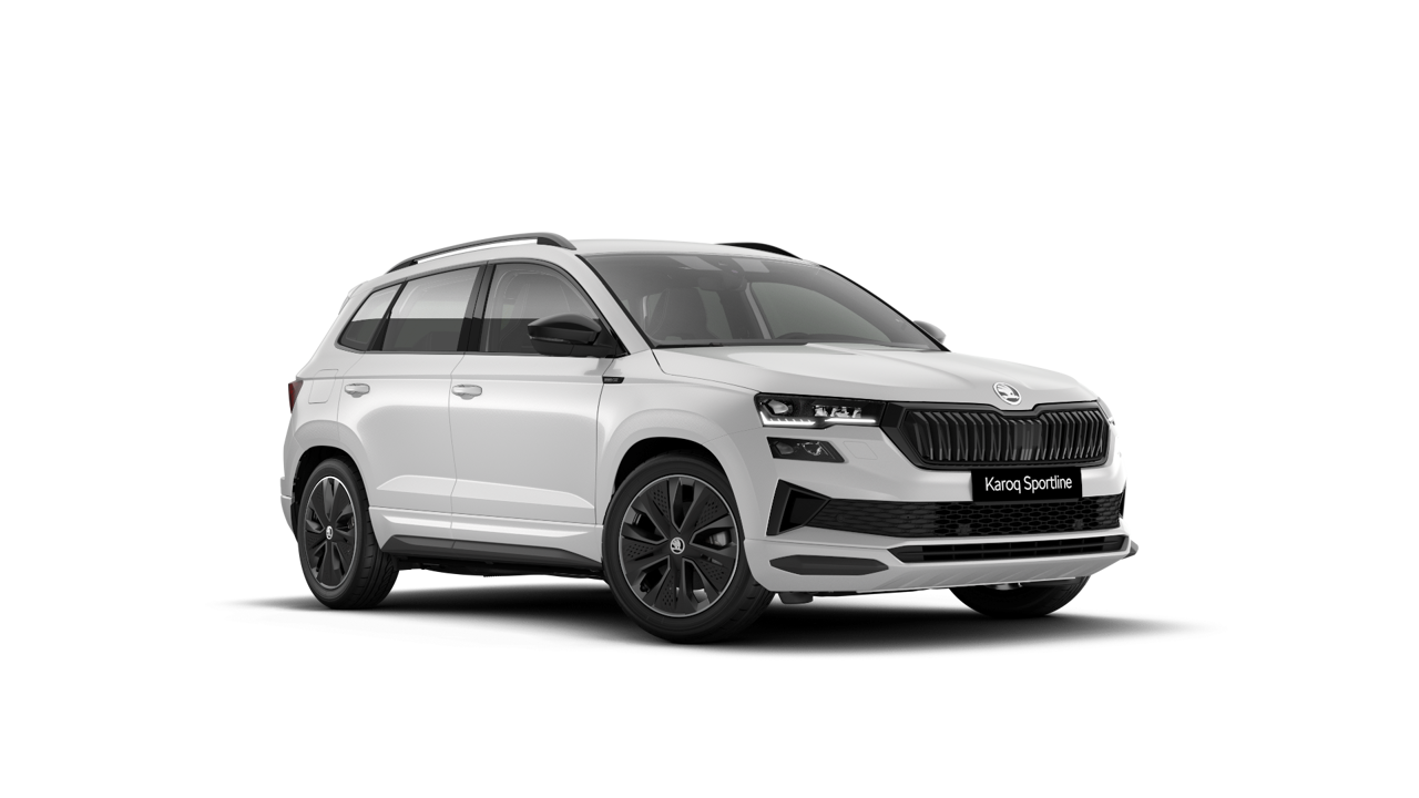 Bild eines Karoq 4x4 Sportline TDI DSG