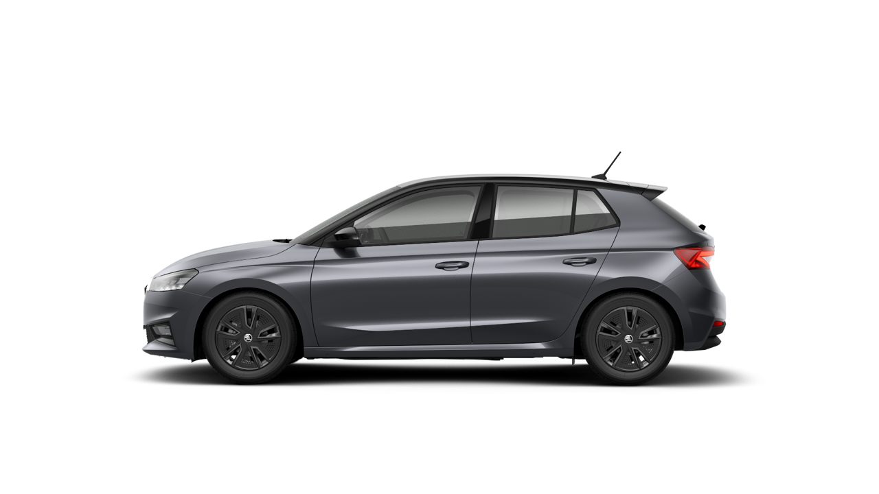 Bild eines Fabia Selection TSI