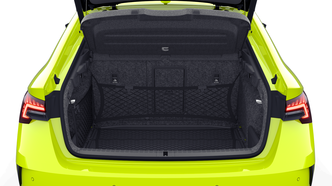 Bild eines Octavia RS