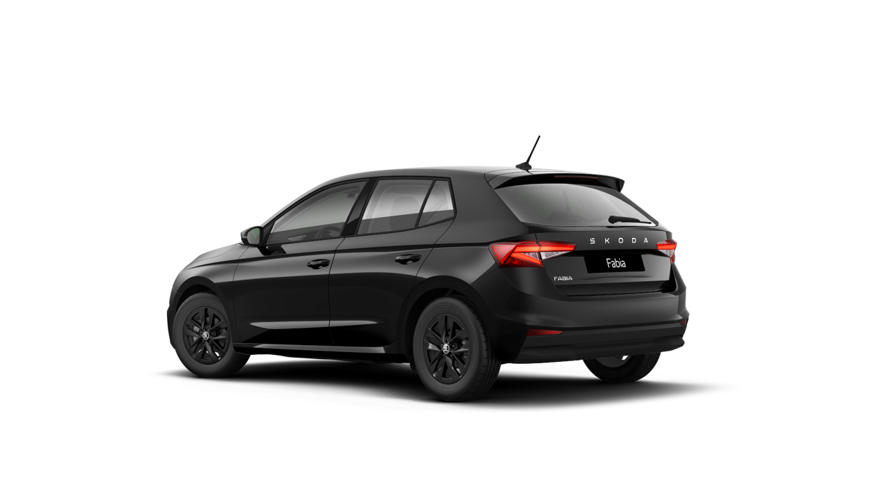 Bild eines Fabia Selection